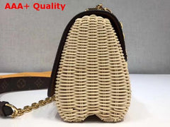 LV Twist PM Monogram Canvas